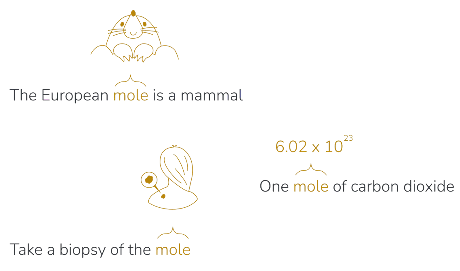 ../_images/context-mole.png